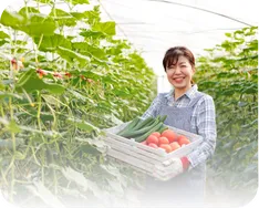 Lowongan kerja agronomi Jepang tokutei ginou